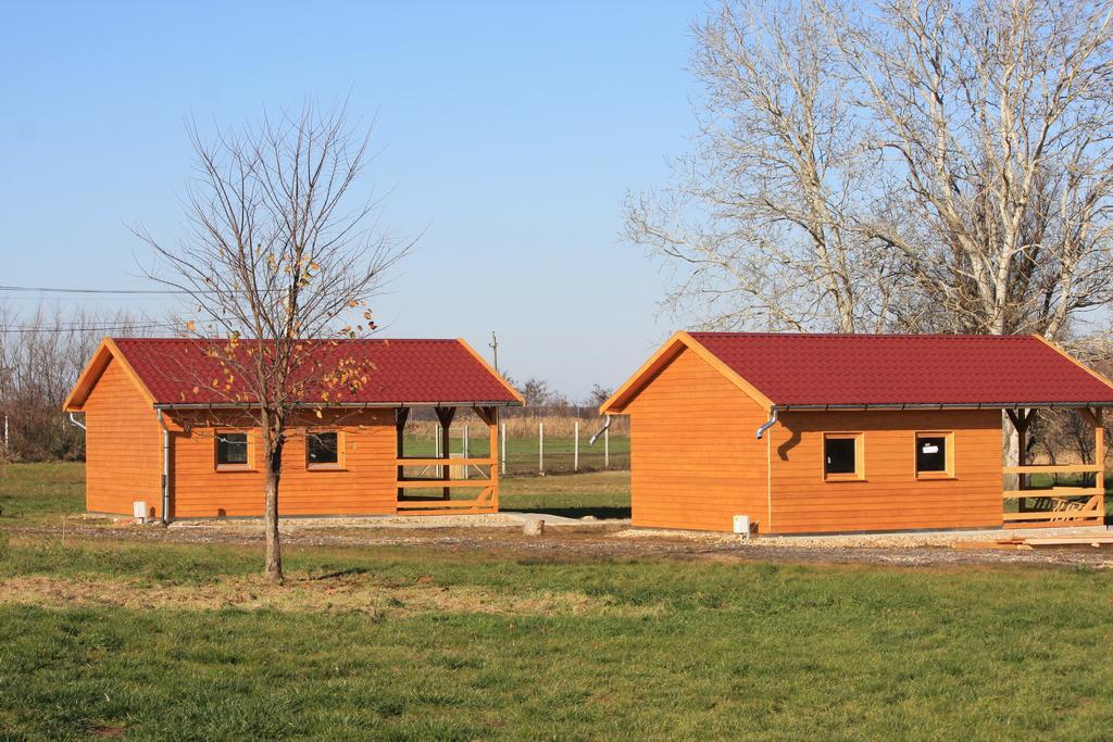 Pusztaeldorado Tiszagyenda Exterior photo